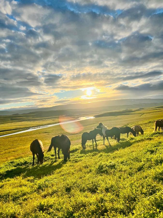 Stora-Asgeirsa Horse Farm Stay Vithigerthi Kültér fotó