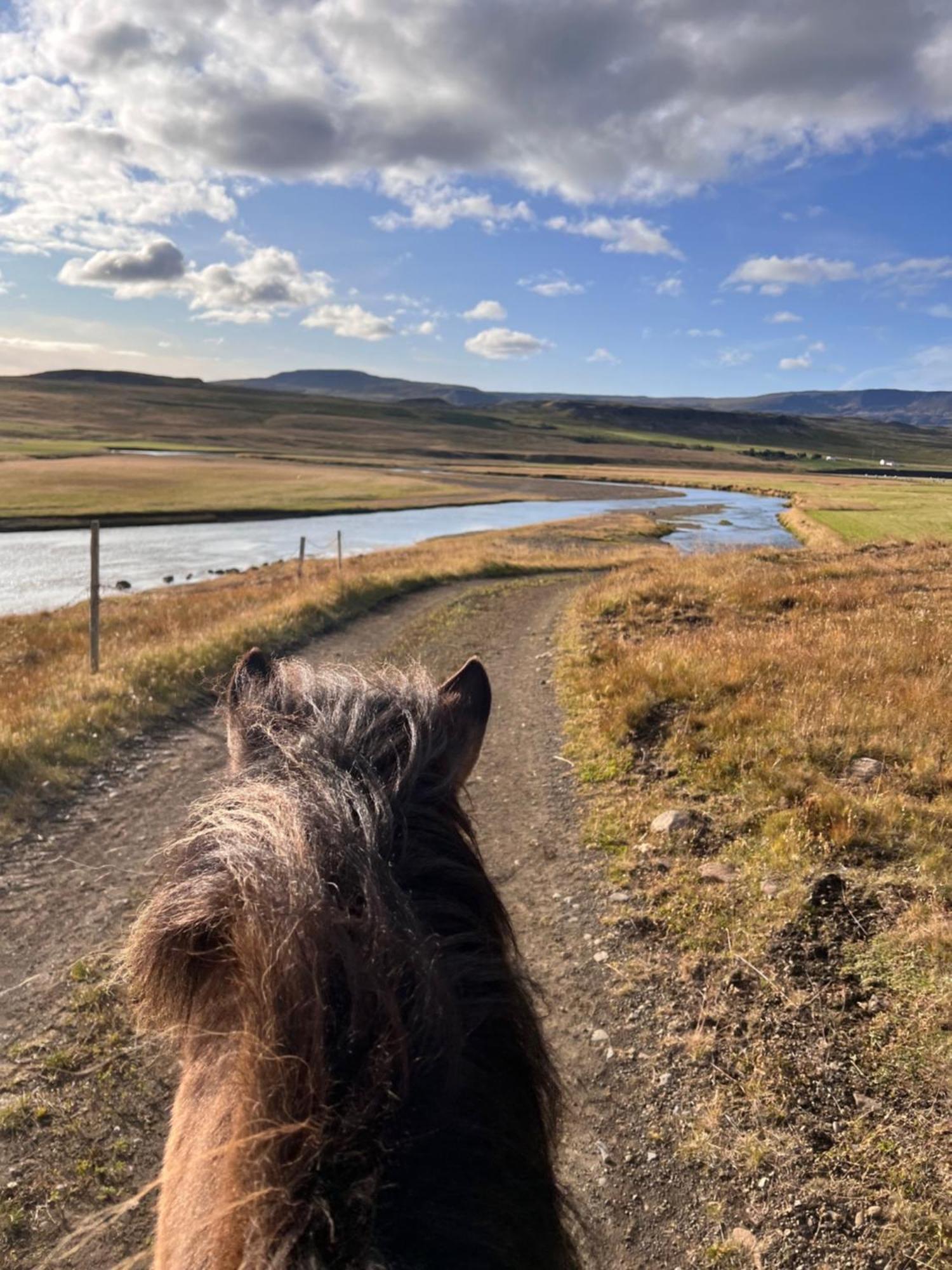Stora-Asgeirsa Horse Farm Stay Vithigerthi Kültér fotó