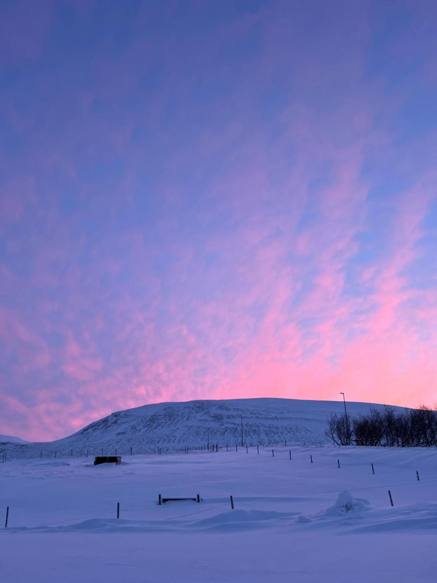Stora-Asgeirsa Horse Farm Stay Vithigerthi Kültér fotó