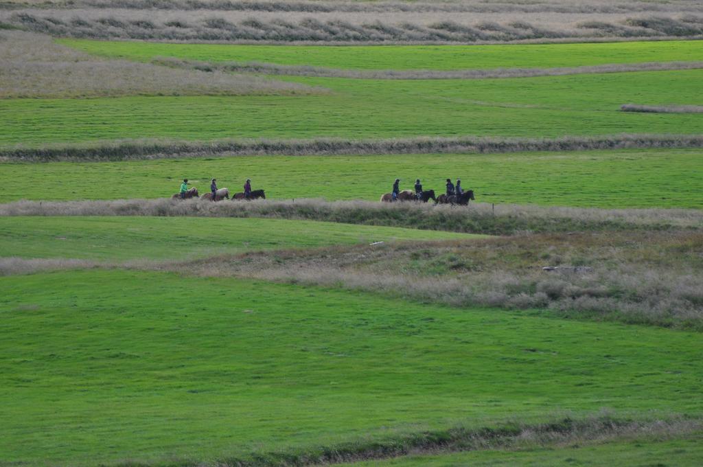 Stora-Asgeirsa Horse Farm Stay Vithigerthi Kültér fotó