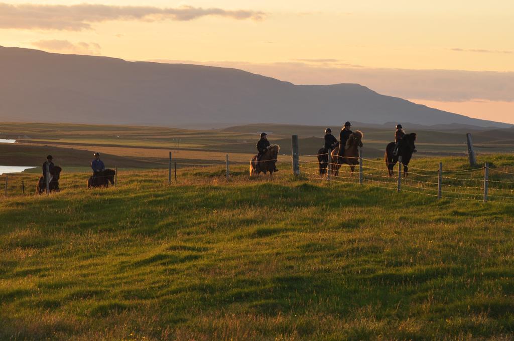 Stora-Asgeirsa Horse Farm Stay Vithigerthi Kültér fotó